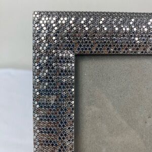Tahari Shimmering Silver mesh frame 4x6